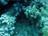 dsc05194_small.jpg