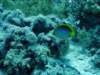 dsc05195_small.jpg