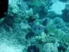 dsc05196_small.jpg