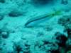 dsc05198_small.jpg