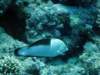 dsc05199_small.jpg