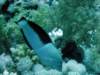 dsc05200_small.jpg
