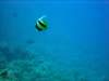 dsc05201_small.jpg