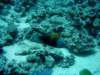 dsc05203_small.jpg