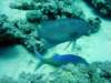dsc05204_small.jpg