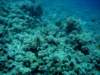 dsc05206_small.jpg