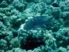 dsc05207_small.jpg