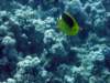 dsc05208_small.jpg