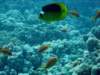 dsc05209_small.jpg