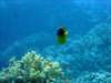 dsc05210_small.jpg