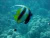 dsc05212_small.jpg