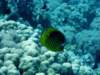 dsc05214_small.jpg