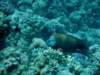 dsc05216_small.jpg