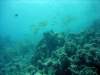 dsc05218_small.jpg