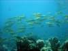 dsc05219_small.jpg