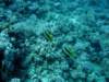 dsc05220_small.jpg