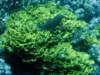 dsc05221_small.jpg
