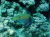 dsc05223_small.jpg