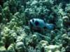 dsc05240_small.jpg