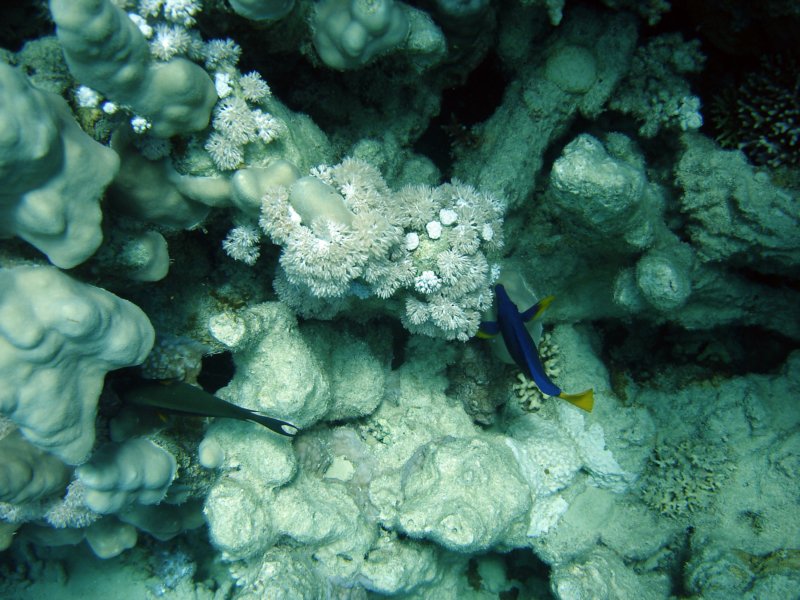 dsc05241.jpg