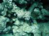 dsc05241_small.jpg