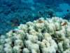dsc05242_small.jpg