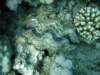 dsc05243_small.jpg