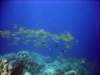dsc05244_small.jpg