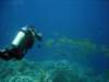 dsc05245_small.jpg