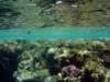 dsc05247_small.jpg