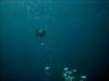 dsc05248_small.jpg