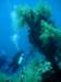 dsc05249_small.jpg