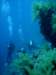 dsc05250_small.jpg