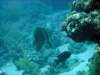 dsc05251_small.jpg