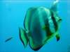 dsc05252_small.jpg