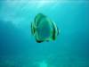 dsc05253_small.jpg