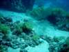 dsc05257_small.jpg