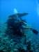 dsc05258_small.jpg