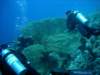 dsc05259_small.jpg
