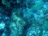 dsc05261_small.jpg