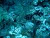 dsc05262_small.jpg