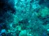 dsc05264_small.jpg