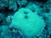 dsc05267_small.jpg