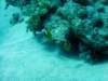 dsc05269_small.jpg