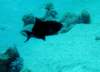 dsc05271_small.jpg