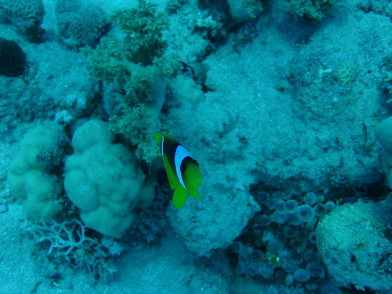 dsc05273.jpg