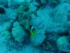 dsc05273_small.jpg