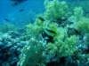 dsc05275_small.jpg