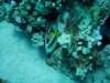dsc05276_small.jpg