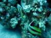 dsc05277_small.jpg